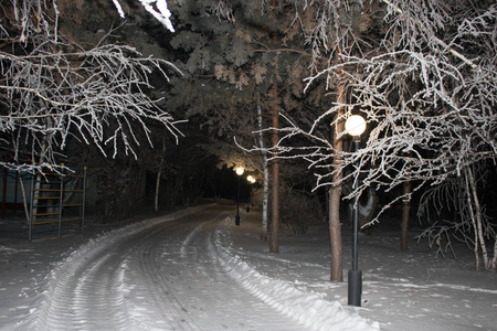 公园里的冬季道路在晚上被灯笼照亮。这条路天黑了.