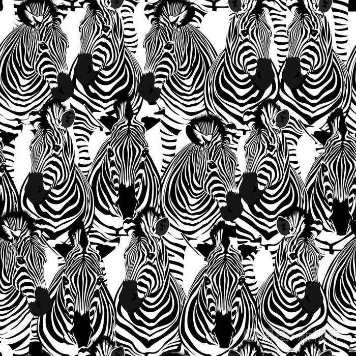 斑马无缝图案野生动物条纹黑白设计时尚的面料纹理在白色背景上隔离的