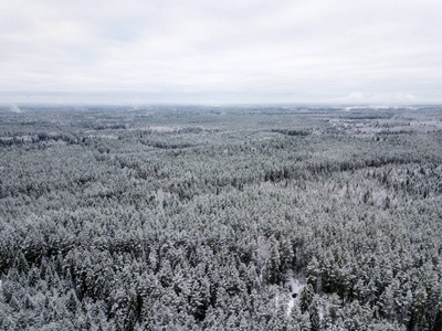 冬季森林地区用雪树的鸟瞰图图片