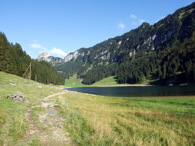 瑞士内罗登阿彭策尔县阿尔普斯坦山脉高山湖塞奥普西