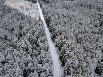 冬季森林地区用雪树的鸟瞰图图片