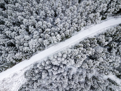 冬季森林地区用雪树的鸟瞰图