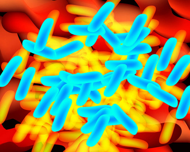 背景蓝色乳酸杆菌双歧杆菌益生菌益生菌。 孤立背景的信息图形矢量图