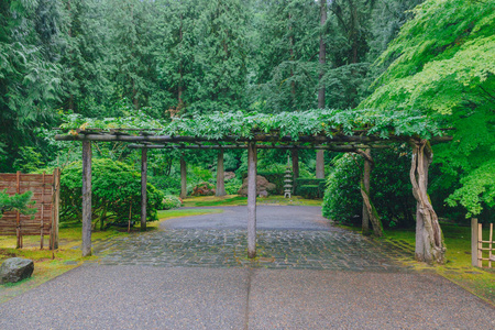 在美国波特兰日本花园的树木间的木栅栏
