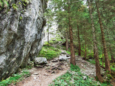 瑞士阿彭策尔内罗登州阿尔泼斯坦山脉的石块和岩石