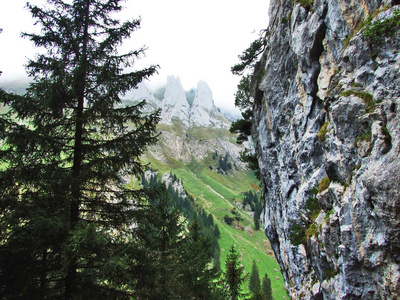 瑞士阿彭策尔内罗登州阿尔泼斯坦山脉的石块和岩石
