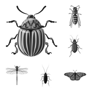 昆虫和飞行标志的向量例证。昆虫和元素存量矢量图的采集