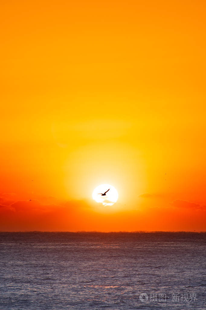 美丽的日出在海洋上东海海日出时的韩国