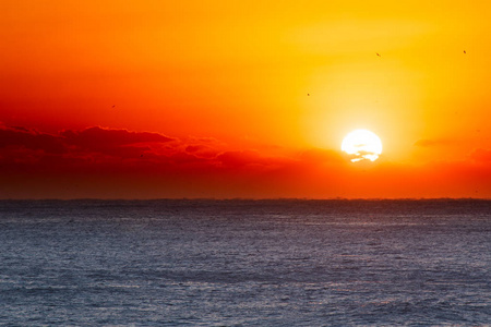 东海海日出时的韩国照片