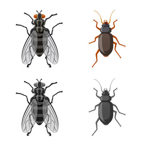 昆虫和飞行标志的孤立对象。股票昆虫和元素矢量图标集