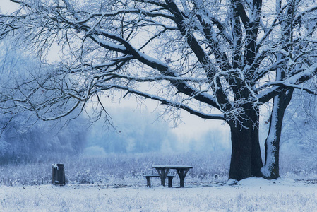在雪天里，木凳是冬天的一天。 蓝色色调的照片