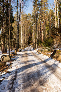 白雪覆盖的冬季道路，轮胎痕迹