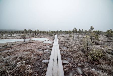 拉脱维亚沼泽雪道风景