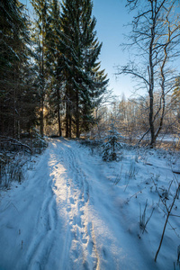 白雪覆盖的冬季道路，轮胎痕迹
