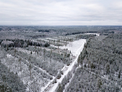 冬季森林地区用雪树的鸟瞰图