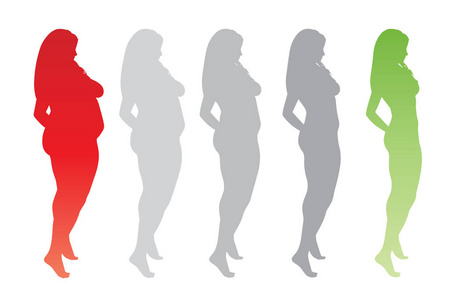 概念脂肪超重肥胖女性与苗条适合健康身体后，减肥或饮食与肌肉瘦年轻妇女隔离。 健身营养或肥胖肥胖健康剪影形状