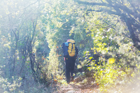 人们在山里徒步旅行