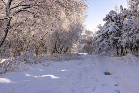 乌克兰一月的雪