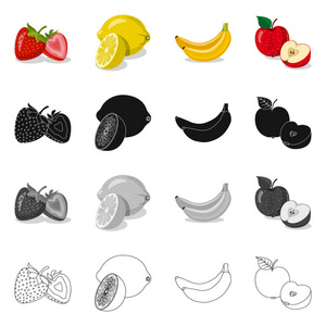 蔬菜水果标识的矢量设计。蔬菜和素食的收藏向量例证