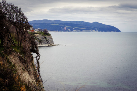 杰伦迪克。 海岸。 陡峭的海岸海岩树。 令人叹为观止。 黑海地平线山脉平静。