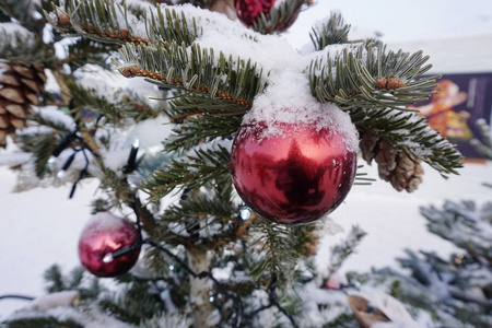 圣诞树上的树枝在雪地里装饰着美丽的圣诞玩具