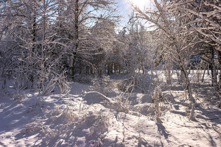 乌克兰一月的雪