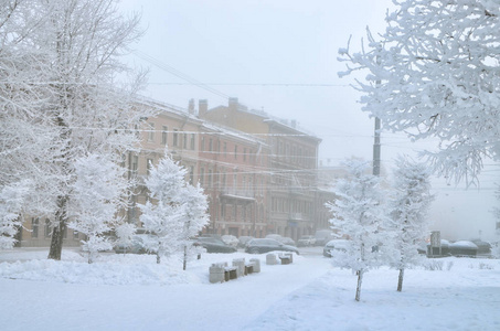 雪白色的冬天在城市里。树上覆盖着明亮的雪。美丽的景观。