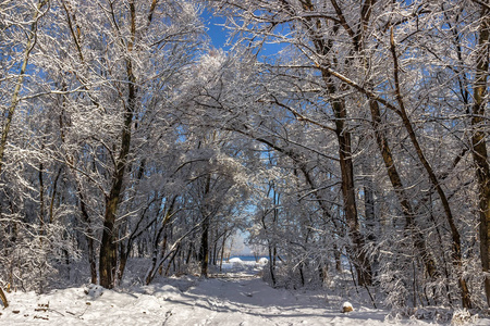 雪一月，德尼普罗，乌克兰