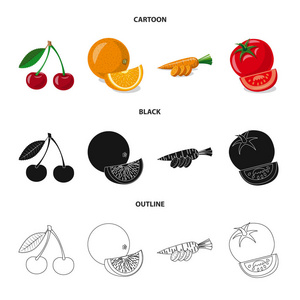 蔬菜和水果标志的孤立对象。蔬菜和素食的收藏向量例证