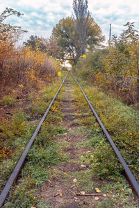 秋天那条老长的铁路。