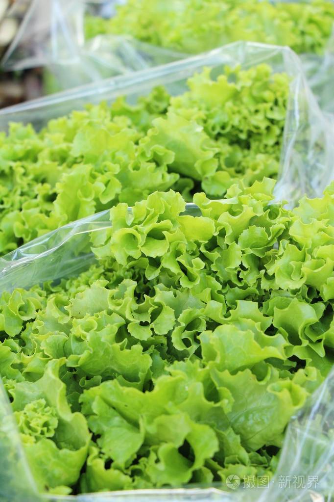 新鲜生菜在街头烹饪