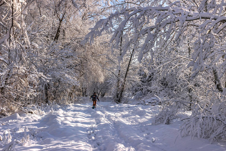 乌克兰一月的雪