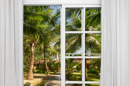 明亮的绿树打开窗户,在明亮的阳光下观赏绿树海照片