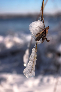 乌克兰一月的雪