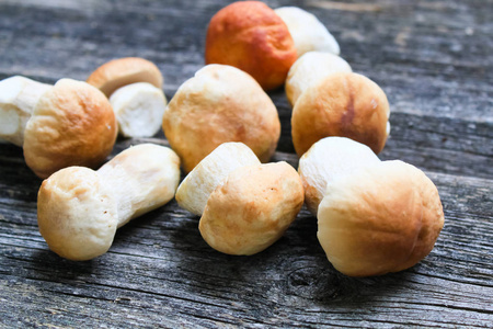 木制背景上的白色蘑菇