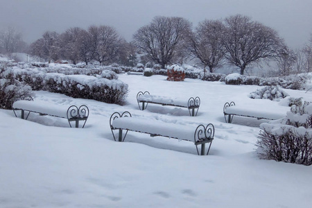 公园长椅上没有触及的雪。