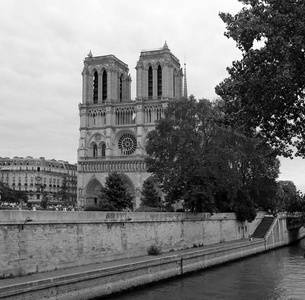 巴黎圣母院和法国塞纳河的哥特式大教堂，具有黑色和白色的效果