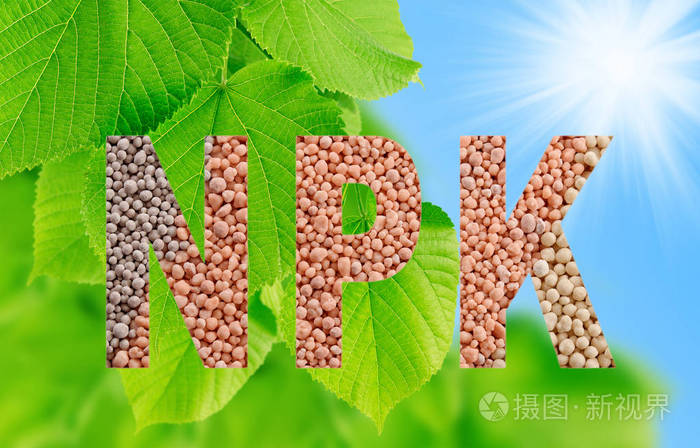 用矿物肥料在绿叶背景上制成的npk字母 氮磷钾 钾 照片 正版商用图片16kkah 摄图新视界 用矿物肥料在绿叶背景上制成的npk字母 氮磷钾 钾 照片 正版商用图片16kkah 摄图新视界