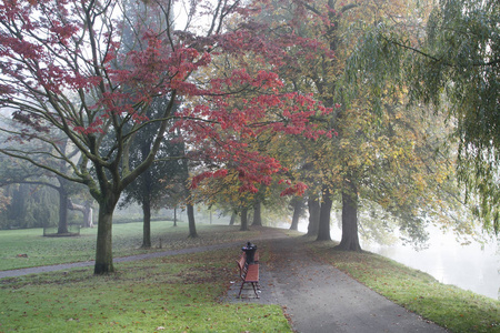 荷兰公园的秋天
