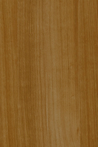 木质背景结构纹理背景壁纸高尺寸