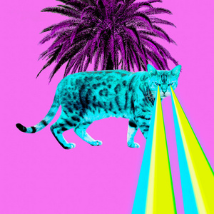 热带豹猫，眼睛里有激光。 最小拼贴时尚概念