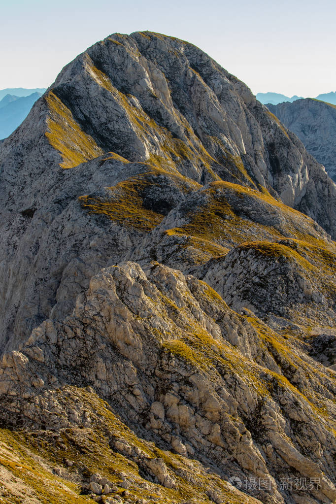 秋天在陡峭的山坡上阳光明媚的黄草