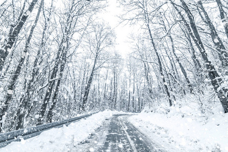 冬季森林雪路。 森林路冬季雪景。