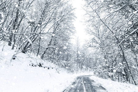 冬季森林雪路。 森林路冬季雪景。