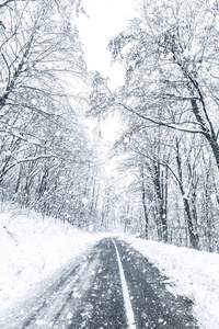 冬季森林雪路。 森林路冬季雪景。