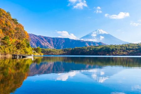 日本大林湖边枫叶树的富士山美景