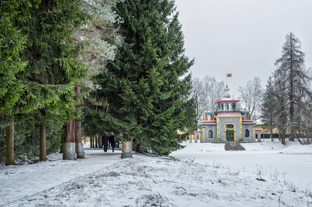 在一个冬天下雪的日子里，Tsars koyeSelo和绿树丛中吱吱作响的乔木。