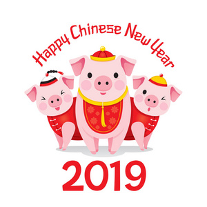 中国新年快乐2019年，三头猪穿着中国服装，传统庆祝中国文化