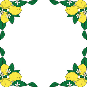 热带柑橘柠檬水果与花框架。夏天五颜六色的背景。向量例证
