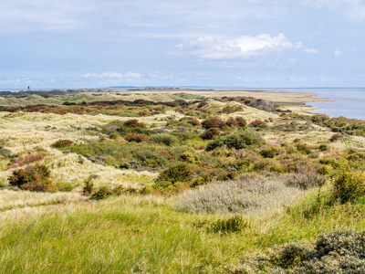 西弗里斯兰岛的沙丘和瓦登海海岸自然保护区HETOERD全景，荷兰